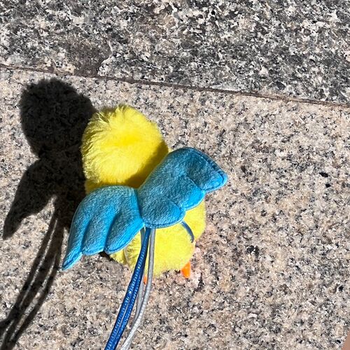 小鸡牵引绳外出防走丢失遛鸡鸭鹅绳子溜芦丁鸡外带绳小宠物