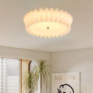 2500g全光谱护眼客厅吸顶灯现代简约客 泰迪幼犬犬粮 NuSun 贵宾