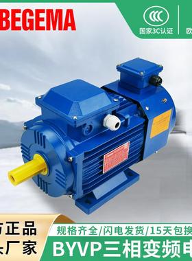 变频无极调速三相异步电机0.55千瓦-315千瓦电机BYVP变频