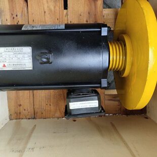 J640005C000G02L006 ZYDE 扶梯电机 HZ50POW三相交流异步电动机