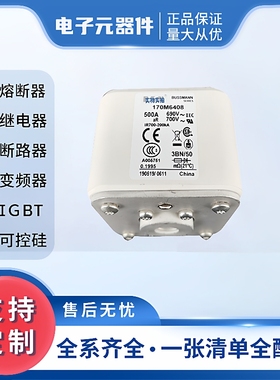 170M6408170M6409直流快速熔断器保险丝高压熔断器熔芯现货