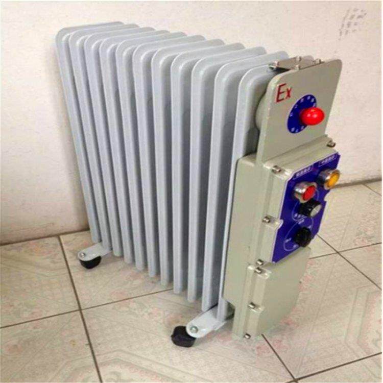 矿用取暖器密闭式电热油汀BDN58-2000W1220V防爆油汀