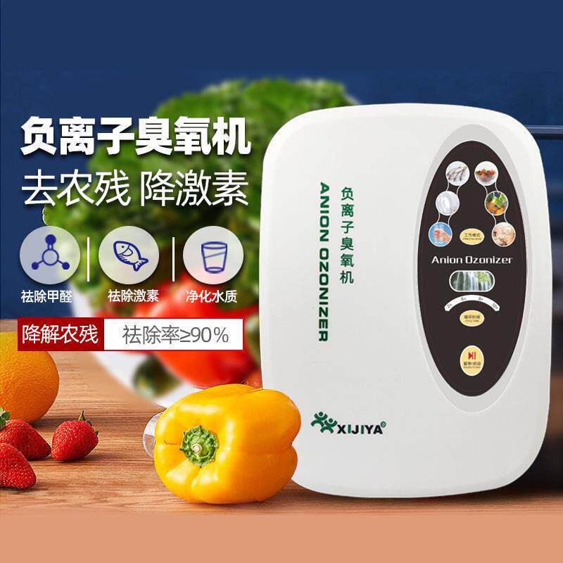 果蔬清洗消毒机多功能活氧臭氧发生器负离子发生器除臭除异味家用