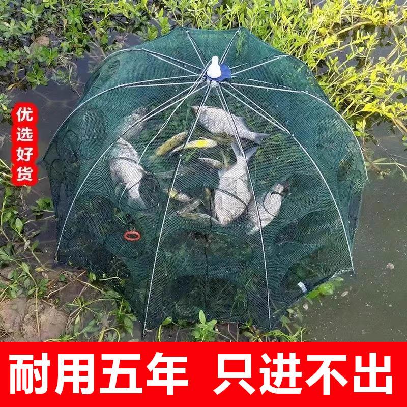 虾笼鱼网渔网折叠伞笼捕虾网捕鱼笼黄鳝龙虾网螃蟹笼网抓扑捉网兜图片