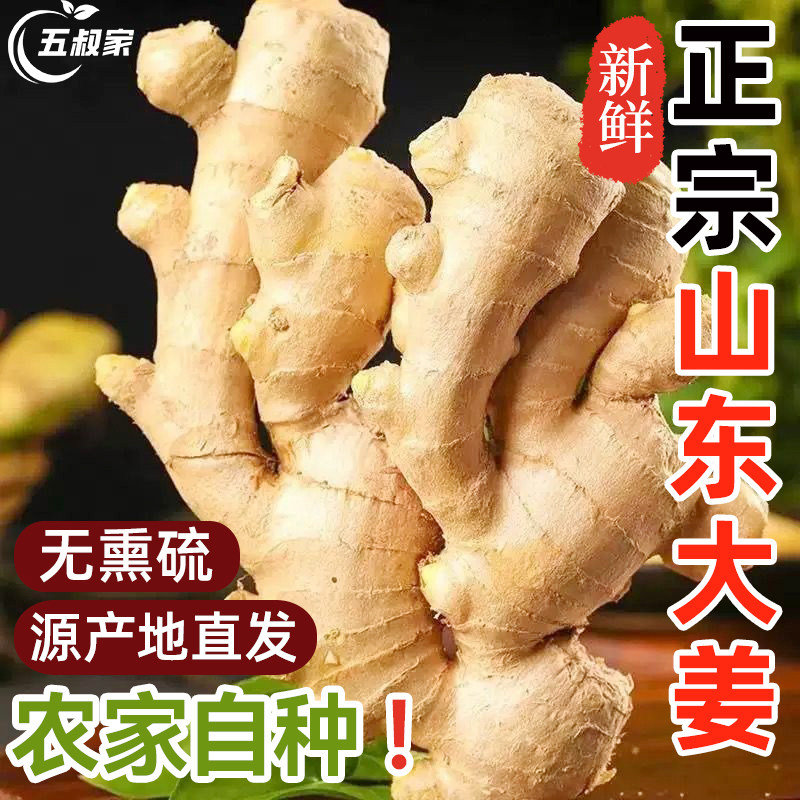 正宗山东大姜优质水洗风干生姜农家自种现挖新鲜老黄土月子姜优质