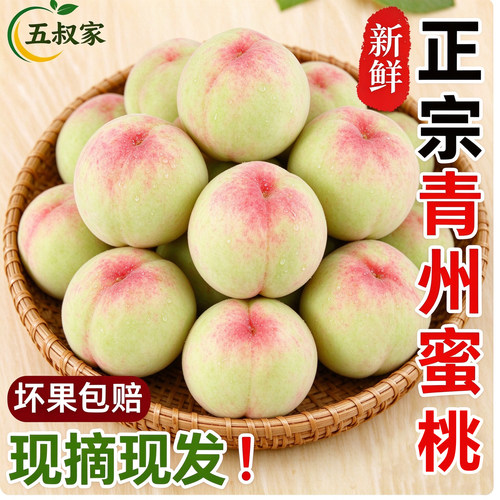 正宗山东青州冬雪蜜桃现摘脆甜