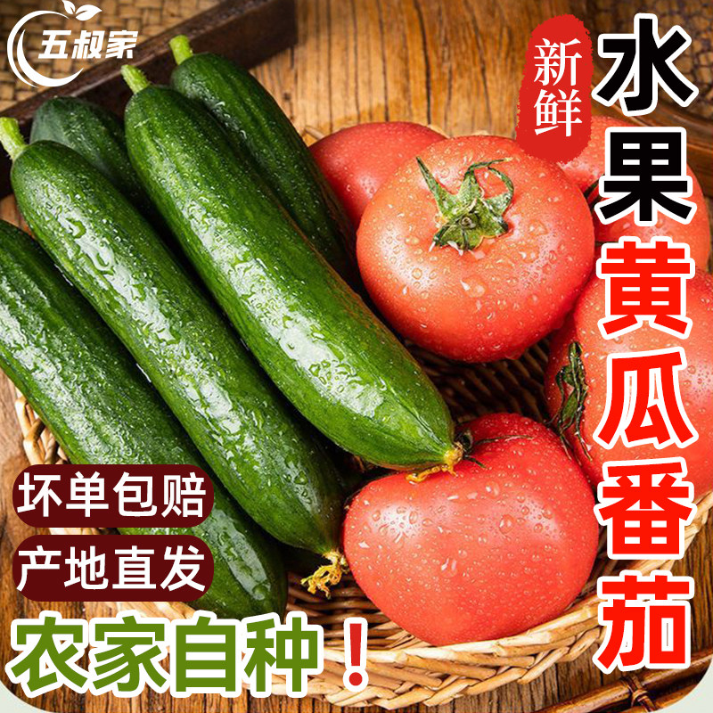 水果黄瓜番茄西红柿子混合装新鲜自然成熟生吃炒菜农家种植蔬菜