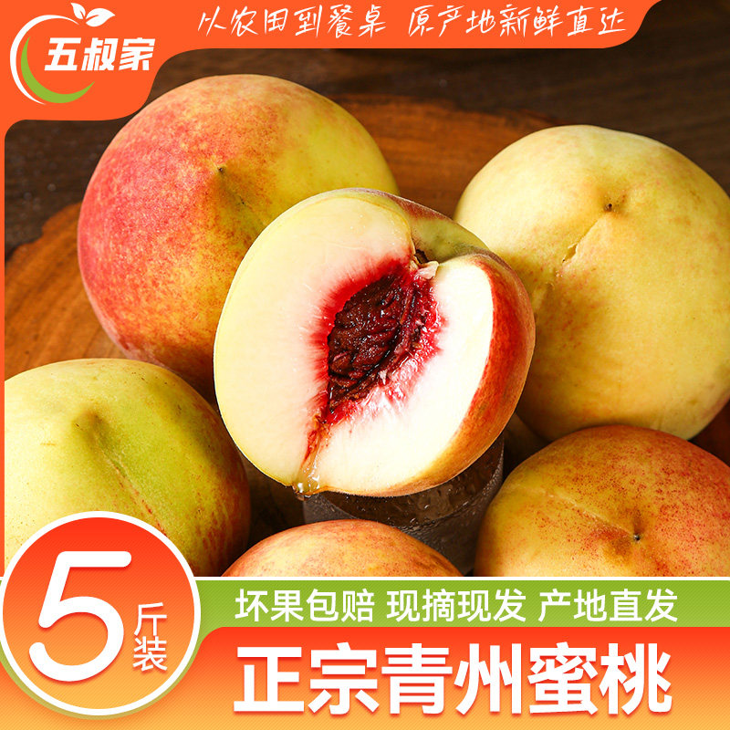 正宗青州脆蜜桃子新鲜应季现摘现发脆甜当季时令生鲜水果产地直发