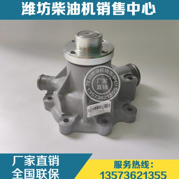 水泵1000054021 潍坊道依茨226B潍柴WP6柴油发动机30装载机收割机