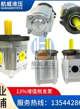 KS908UE射出機Y泵浦(內齒輪)NP3-50-EIPC-T3  EIPC3-050-RA23-10