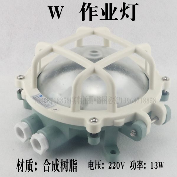 作业灯W 船用水密白炽灯防水合成树脂吸顶灯220V 国际代码792066