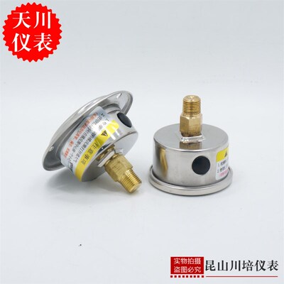 全不锈钢304轴向带边压力表Y-40ZTBF上海天川防腐耐高温背式卧式