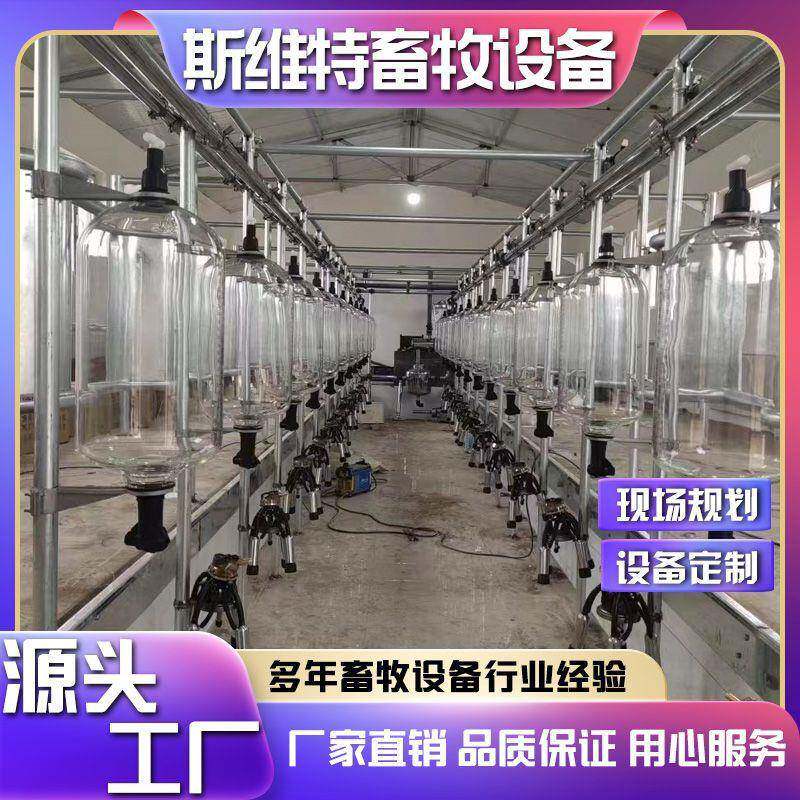 奶牛奶羊计量瓶鱼骨式挤奶厅全自动挤奶机配件齐全操作简单