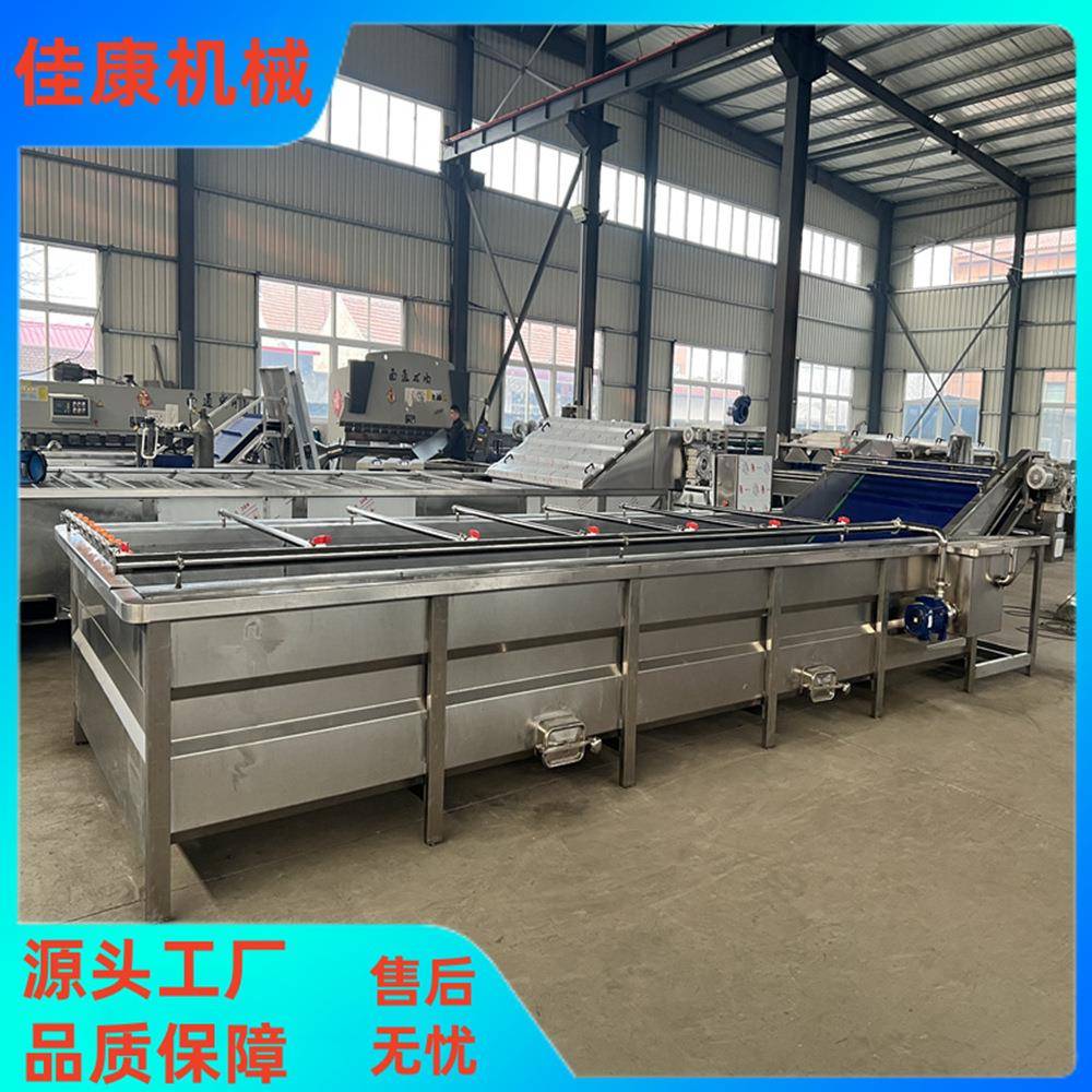 厂家生产杨梅草莓清洗机杏干李子清洗机全自动水果蔬菜清洗设备