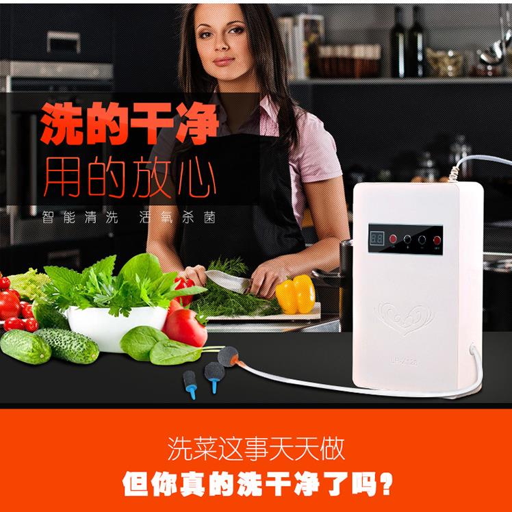 洗菜机果蔬解毒机家用全自动蔬菜清洗机臭氧消毒机水果净化机