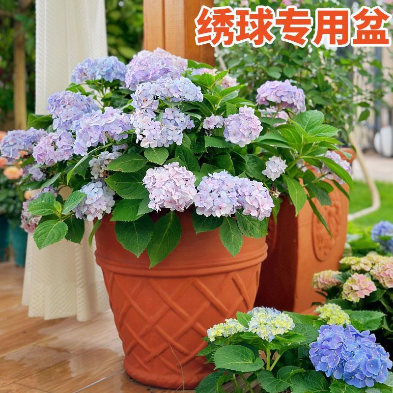 绣球花盆大号粗陶陶罐花瓶花盆别墅庭院种树粗陶复古陶土陶瓷欧式