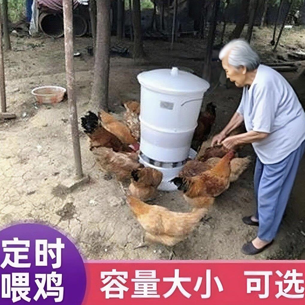 鸡桶养鸡鸭自动喂鸡喂食器全自动投料机鸽子定时下料器家用投食电