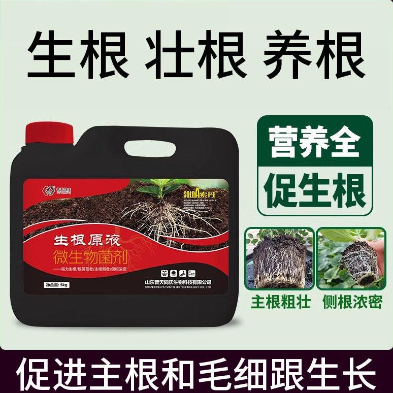 生根壮苗剂生根液果树蔬菜花卉移栽育苗强力发根壮根抑线虫水溶肥