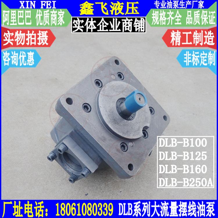 DLB-B100 DLB-B125 DLB-B160 DLB-B250大流量润滑摆线齿轮油泵Y N