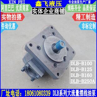 B250大流量润滑摆线齿轮油泵Y DLB B160 B125 B100