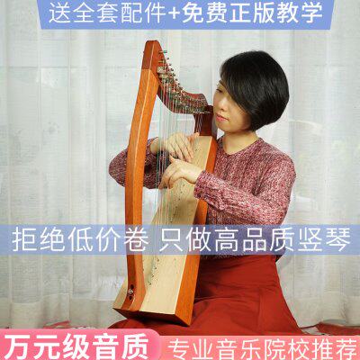 半音竖琴沃尔特入门爱尔兰凯尔乙女小竖琴19弦便携式小型初学乐器