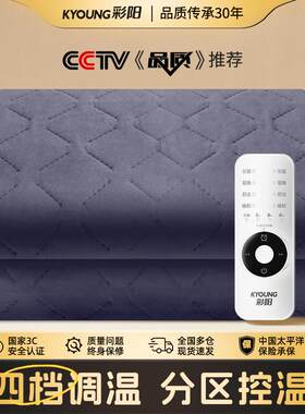 彩阳电热毯自动断电加热毯双人单人电褥子家用双温双控定时