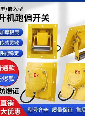 提升机跑偏开关TDP-1嵌入式防爆WTDP-I胶带提升机防偏装置BXTDP-1