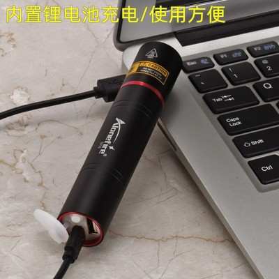 365nm可充电紫外线验钞手电筒荧光剂黄曲霉菌检测紫光