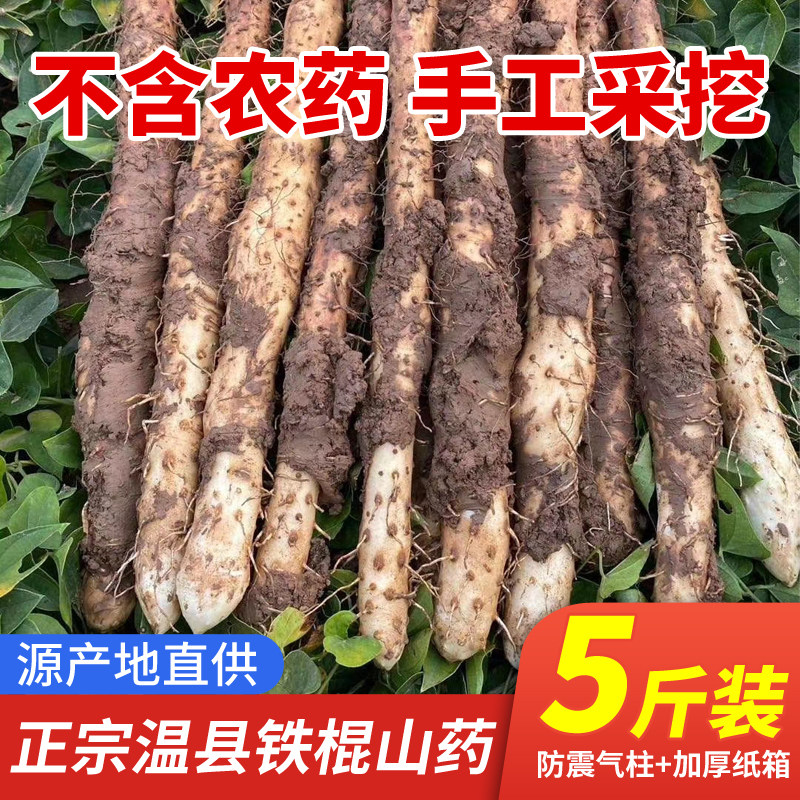 2026正宗河南焦作温县垆土铁棍铁杆淮山怀山药新鲜5斤特产整箱准