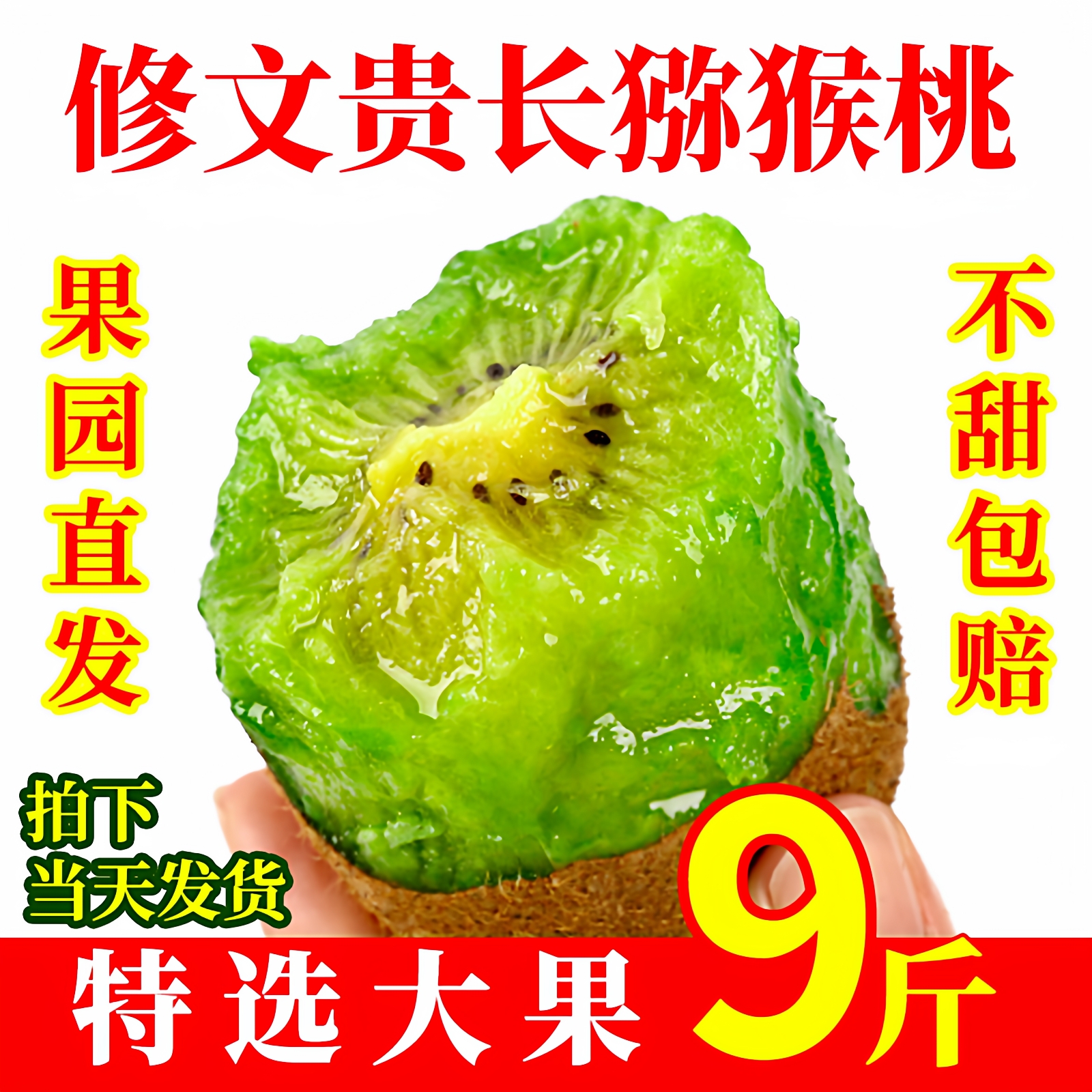 正宗修文贵长猕猴桃新鲜果园现摘