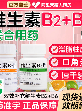 维福佳维生素b6妊娠呕吐族VB官方旗舰店b2 b6溢脂性皮炎100片JR