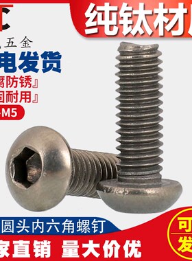 M3M4M5M6 TA2纯钛圆六角螺丝钛盘头内六角螺栓ISO7380螺丝杆*6-50
