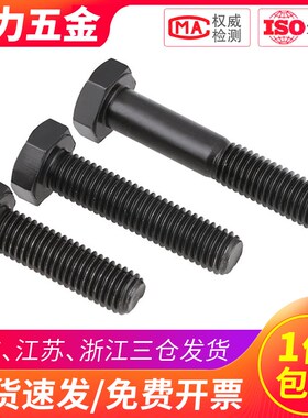 12.9级发黑外六角全牙螺丝螺栓M20*x40x60x80x90x180x220x250x300