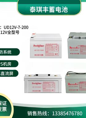 Techfine泰琪丰蓄电池UD12V7AH9A12A24A38A40A65A100A120A150A200