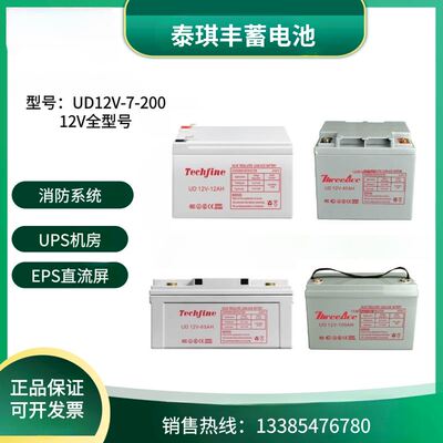 Techfine泰琪丰蓄电池UD12V7AH9A12A24A38A40A65A100A120A150A200