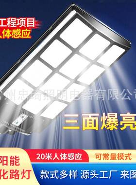 一体化太阳能人体感应路灯户外庭院灯农村家用室外超亮led照明灯
