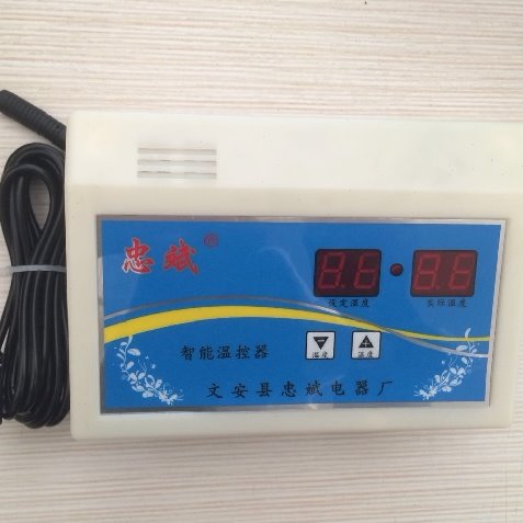 忠斌 大棚育苗 自动温控仪 温度控制器 控温仪 空气加热线 地热线
