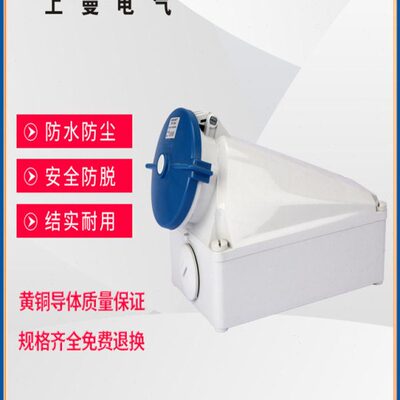 上曼电气NENMMAN型号TYP:1381欧标工业防水明装插座125A 3孔IP67