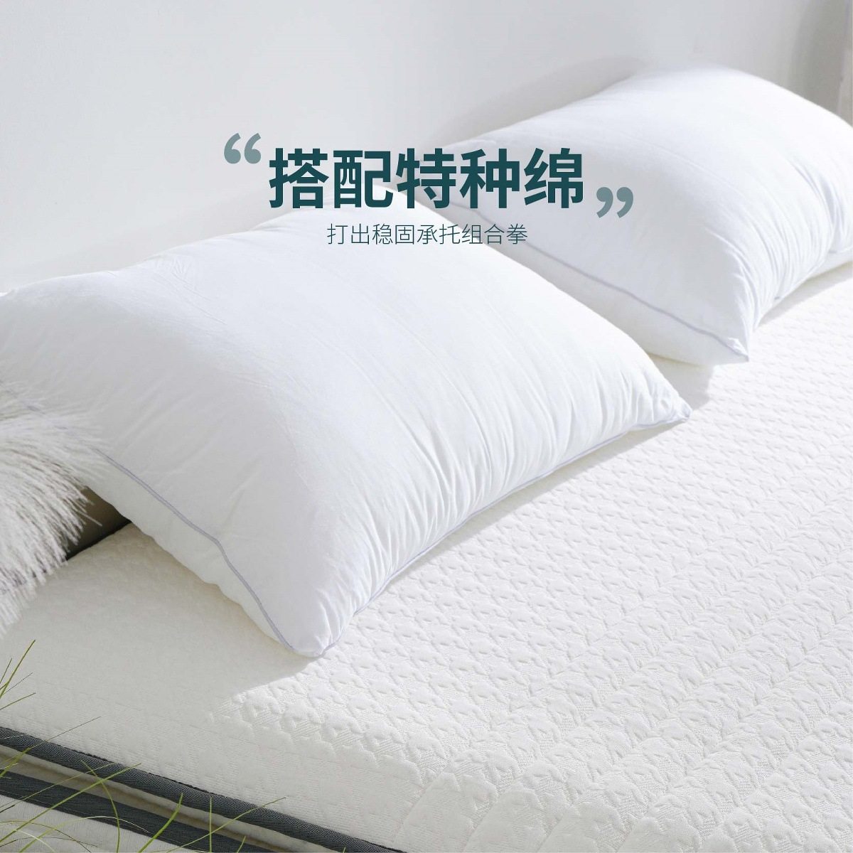 纾兰胡桃夹子偏硬护脊床垫弹簧记忆绵床垫主卧,住宅家具,记忆棉床垫,淘宝优惠券,粉丝福利购,淘宝优惠卷