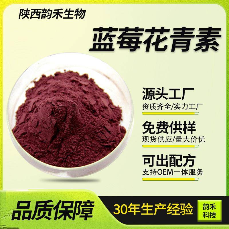 蓝莓花青素精准含量HPLC蓝莓提取物单体成分发货100克/袋