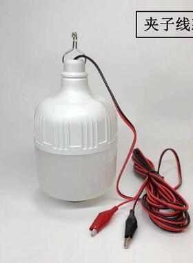 低压12v电瓶灯24v48v60v72v伏电动三轮车夜市摆地摊led灯超亮