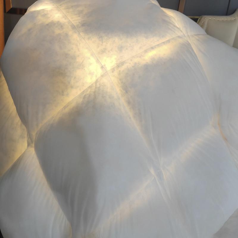 罗茉家纺冬季被子80支透明羽绒被保暖冬被5A级95大朵白鹅绒被