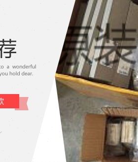 德国FESTO 气源处理组件 MSB4-1/4:J1D1A1-WP 531101 542310 现货