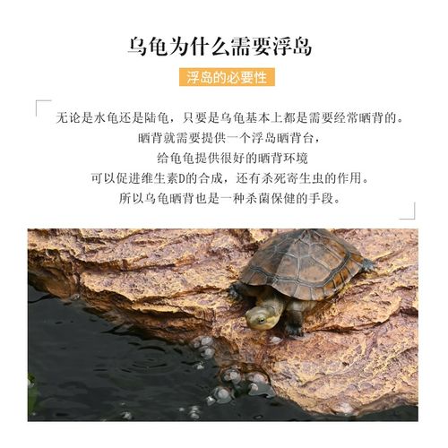 养乌龟专用晒背台爬台高水位深水龟悬浮片L石休息平台龟缸造景用