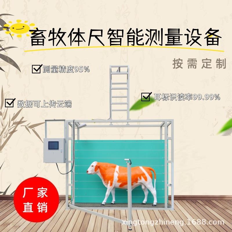 全自动牛羊体尺体廓测量设备AI模型深度相机高精度测量高效精准