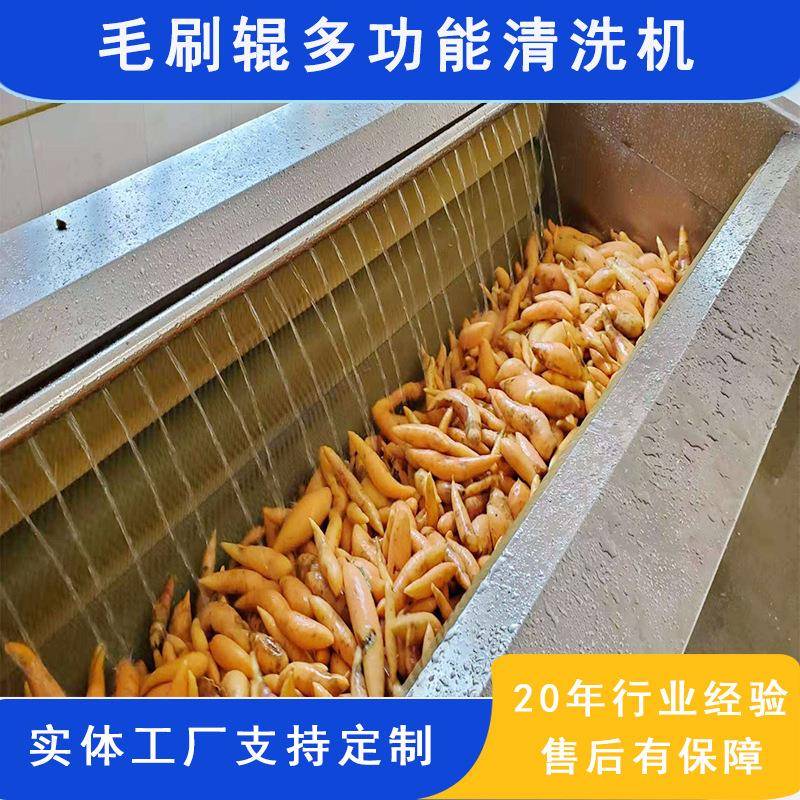 黄精茯苓清洗机不锈钢多功能毛刷辊洗药材机器大型天麻清洗机