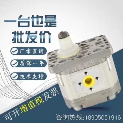 法国HPI齿轮油泵P3BAN3020/3025/3031/3040/3050/3060/3071/3080