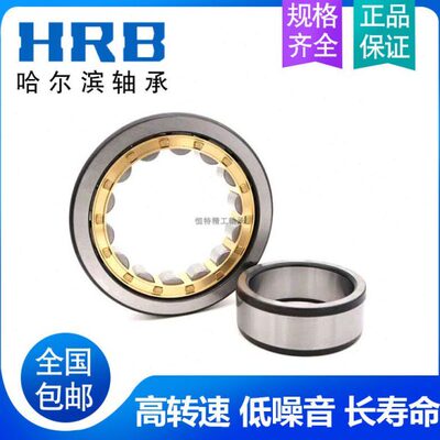 圆柱滚子轴承NJ1005 1006 1007 1008 1009 1010 1011 1012 1013EM