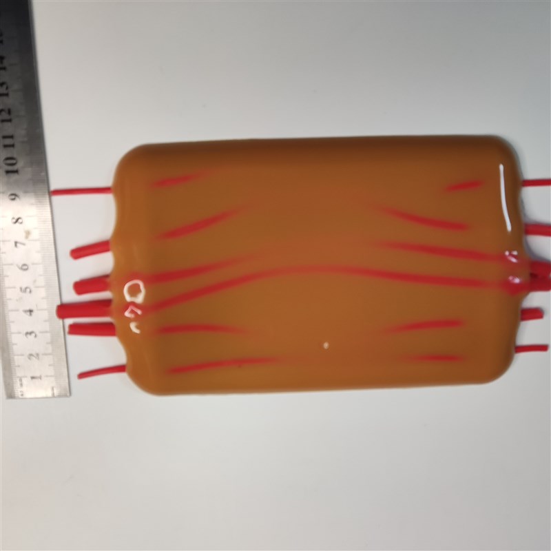 模拟皮肤血管分离结扎静脉注射采血训练模块模型