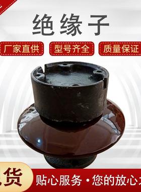 电站用针式支柱绝缘子电解铝厂用电解槽支撑绝缘子ZPD-10ZPD-35